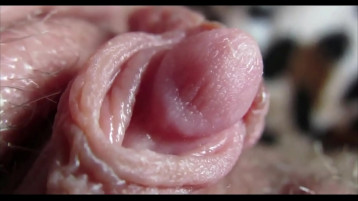 Ham Ecstasy Amatör Hardcore'u Serbest Bırakıyor